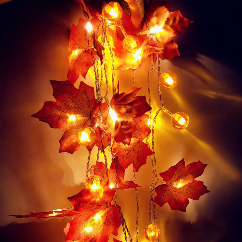 Kürbis Ahornblatt Lichterkette