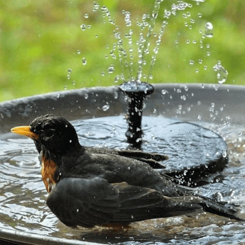 Solar Brunnen Wasserpumpe