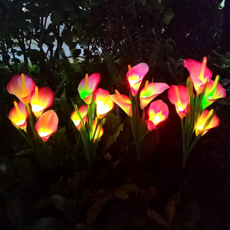 Solar Calla-Lily Licht