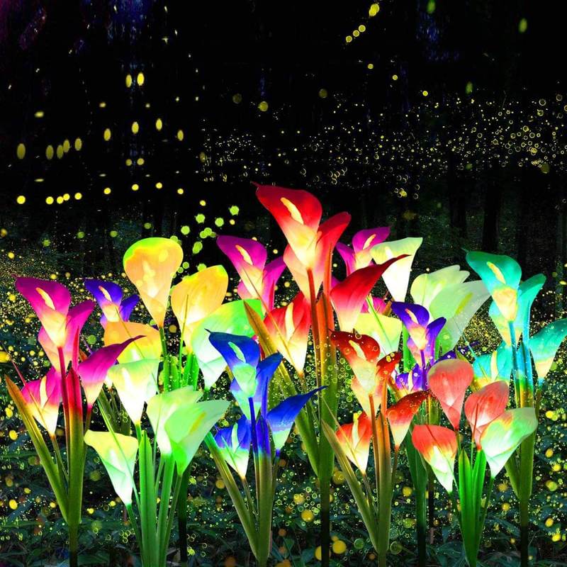 Solar Calla-Lily Licht