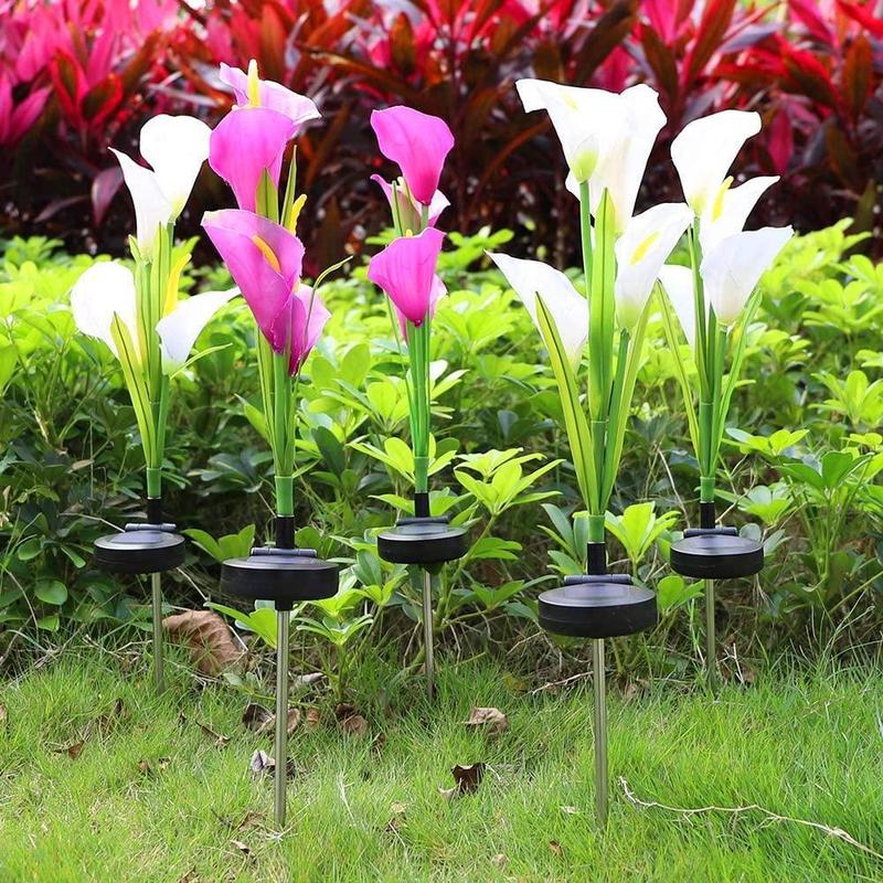 Solar Calla-Lily Licht