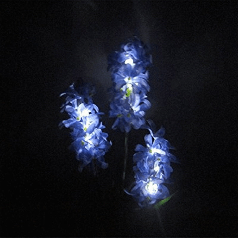 Solar Garten Hyazinthe Licht