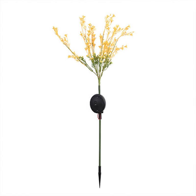 Solar Golden Raps Blumen Licht