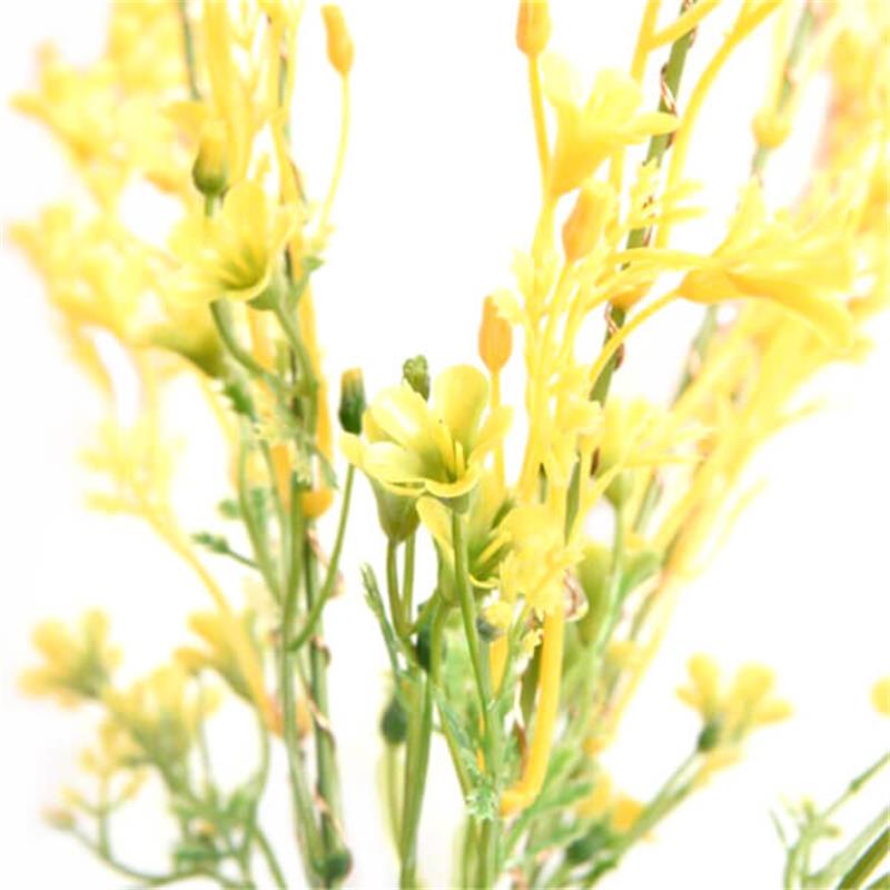 Solar Golden Raps Blumen Licht