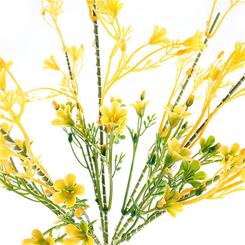 Solar Golden Raps Blumen Licht