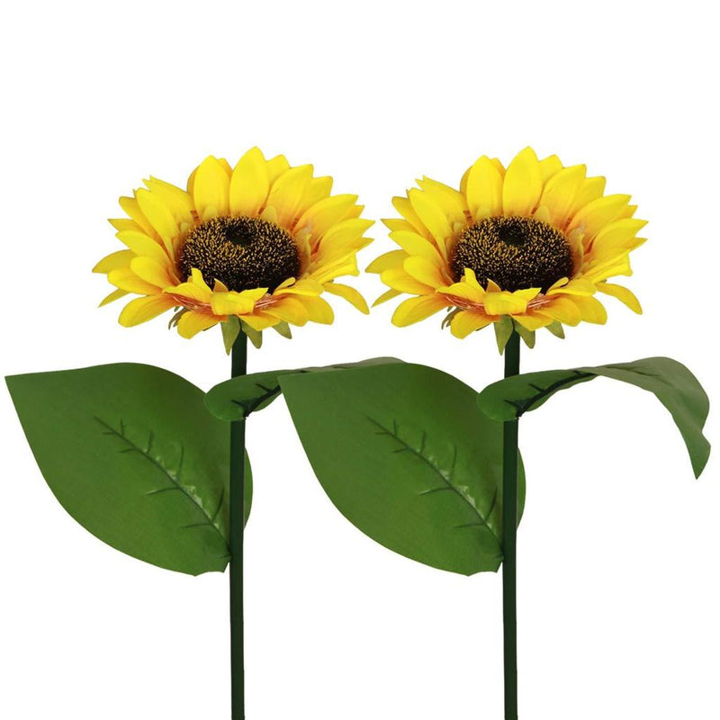 sonnenblumen-solarlicht